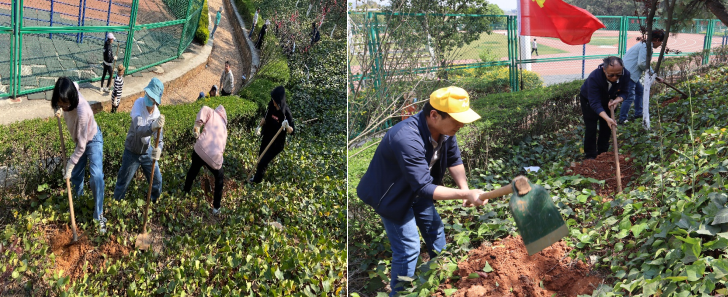 202103191705534295.png 202103191705534295.png