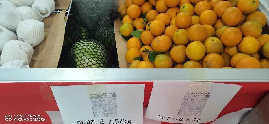 e059752fc5ea442da77190f38608856b.png e059752fc5ea442da77190f38608856b.png